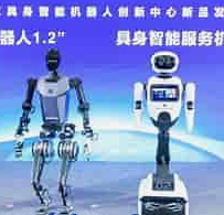 具身智能由“虚”向“实”的突破与挑战